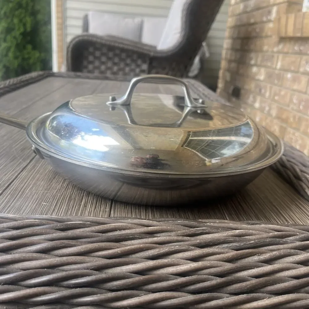 All-Clad Stainless Steel 10